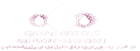 Qatar Petroleum International Gas And Power